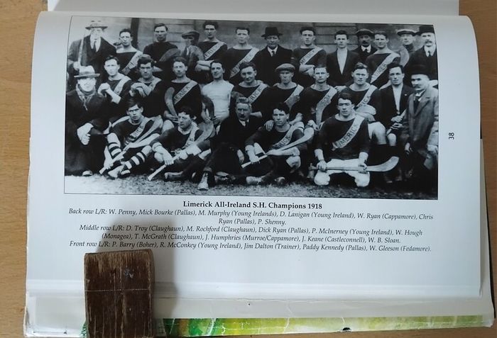 Face the ball, Pallas! History of GAA in Pallasgreen, Co. Limerick 1884-2002 FREEPOST