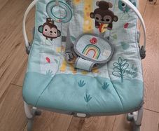 Baby bouncer