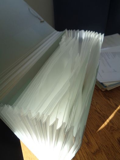 Expanding File with 12 Pockets for Sale