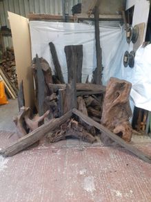 Bog Oak / Bog Pine