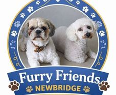 Furry Friends Newbridge