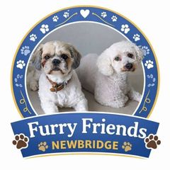 Furry Friends Newbridge