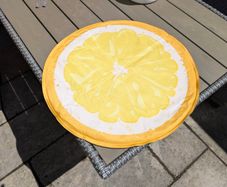 Small dog cooling mat