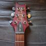 PRS S2 SC250 with Gibson Pickups Image 2