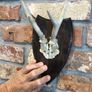 vintage skull Image 3
