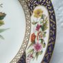 Spode Display Plate Image 3