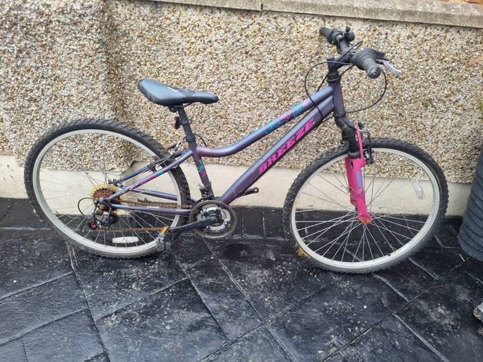 bike needs fixing