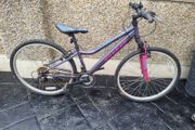 bike needs fixing