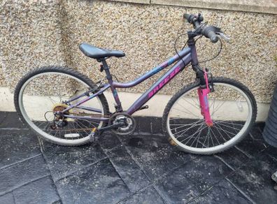 bike needs fixing