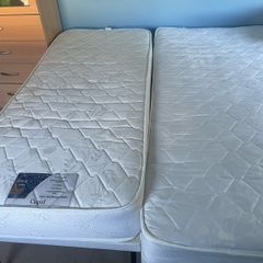 Single bed with guest bed enclosed