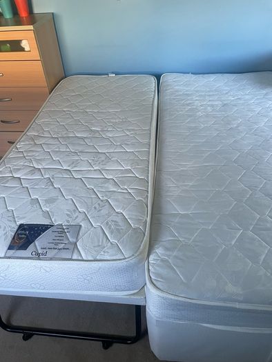 Single bed with guest bed enclosed