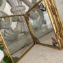 ShabbyChic  Long Velvet feel to touch roses and Frames free Image 4