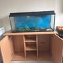 fish tank Image 2