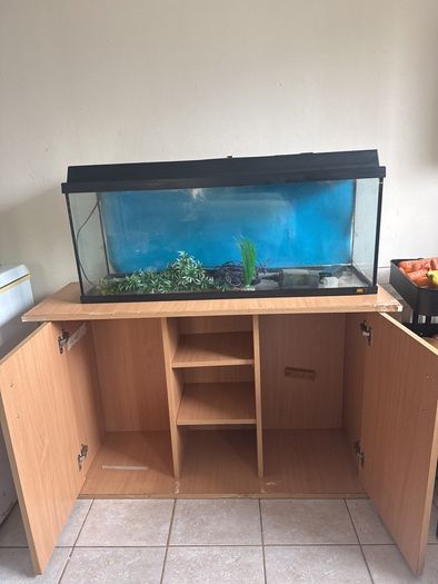 fish tank