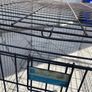 Xl Dog Crate - used - no base Image 2