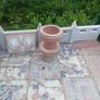 garden Image 2