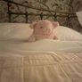 Brass Bed Image 2