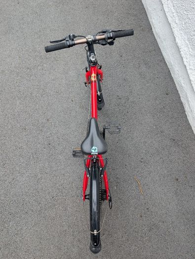 Frog Bike 55