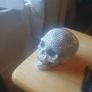 skull Image 4