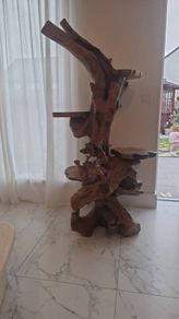Teak Rootwood plant stand