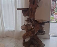 Teak Rootwood plant stand