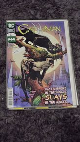 Catwoman Comics