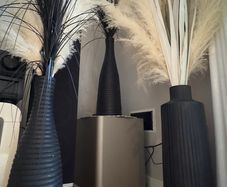 3 Black vases with fluffy pampas