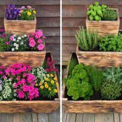 Pot Herbs/Flowers