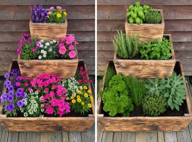 Pot Herbs/Flowers