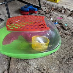 Free hamster cage and ball