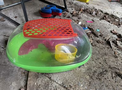 Free hamster cage and ball