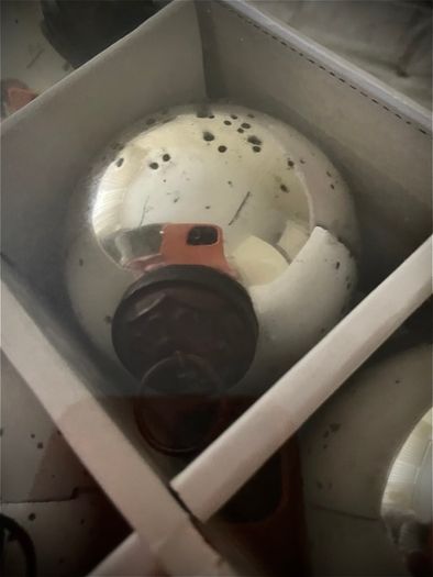 Bnib The White Company Set Of 12 Mercy Baubles