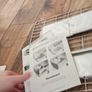 Brod & Taylor Folding Proofer & Slow Cooker Image 4