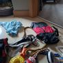 Dog Image 5