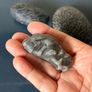 Natural coral fossil stones Image 5