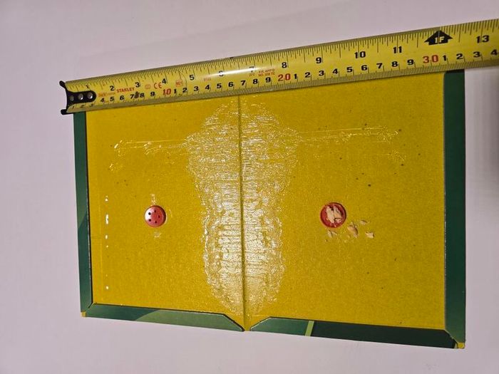 Glue Mouse & Rat Trap