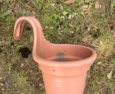 plant pots