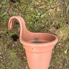plant pots