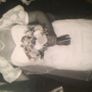 White Lace Wedding Dress Bolero Image 7