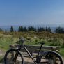 Scott Aspect 930 29er Mountain Bike Size Large Image 4
