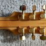 Electric guitar Oakland ZX1200 Image 4