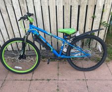 Bargain Bike