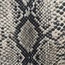 Women's Zara Reptile/ Snake Print Zip Jacket Size S Image 4