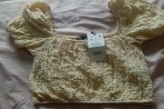 ladies Zara beige crop top size medium bnwt