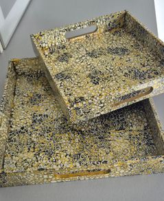 Pair of tortoise shell trays
