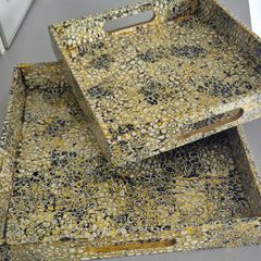 Pair of tortoise shell trays
