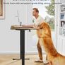 Electric Standing Desk Height Adjustable 120 x 60cm Image 3