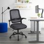 Adjustable ergonomic mesh swivel chair, office and study seat with lumbar support, height adjustment, 360 rotation, 90 flip-up armrests for home office(Black) Image 7