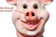 Pig head halloween latex mask.
