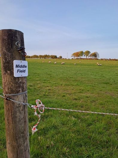 Paddock Numbers & Custom Field Name Signs